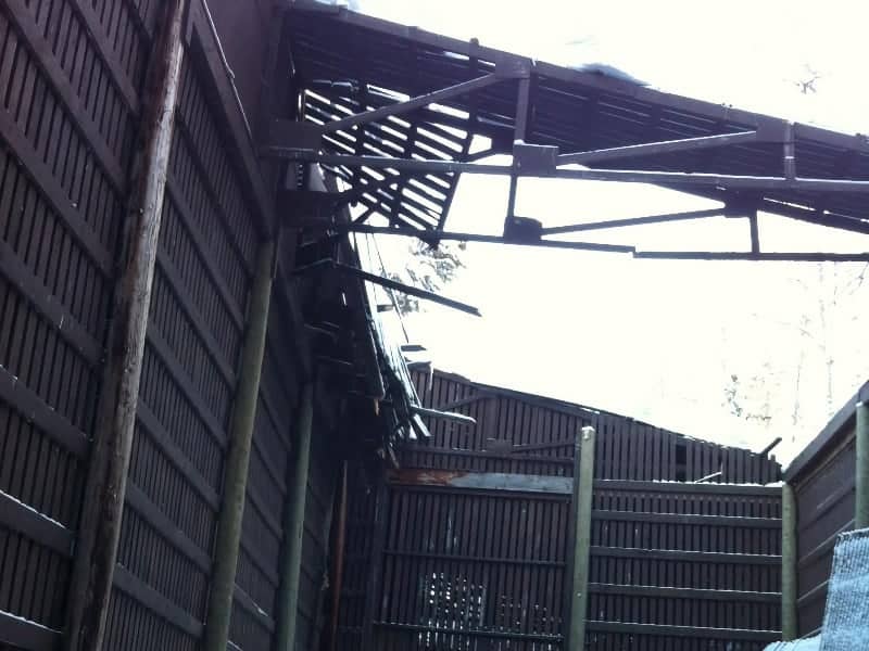 Roof broken in raptor cage