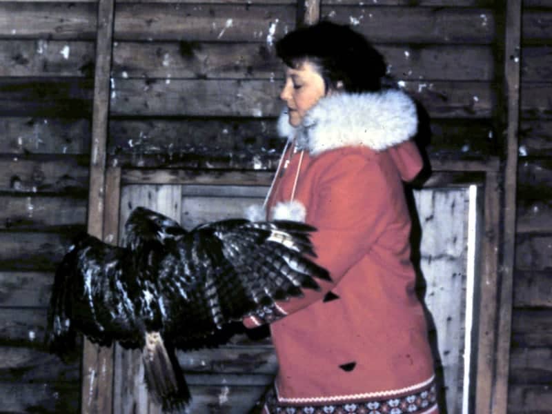 Women in parka with black hawk
