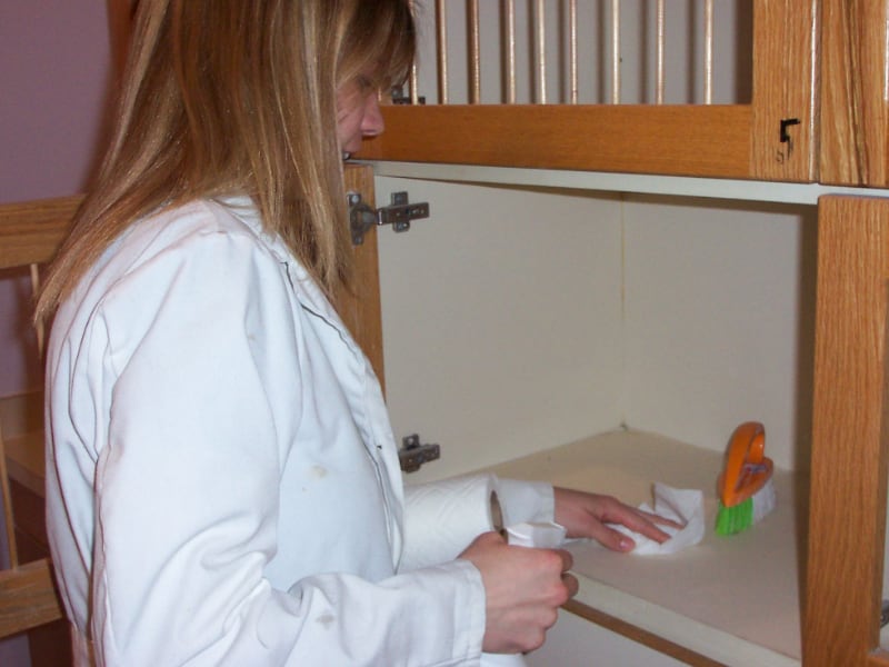 Woman cleaning wildlife cages