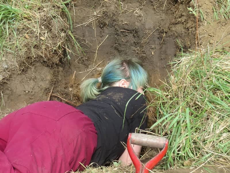 Woman digging in ground for animal