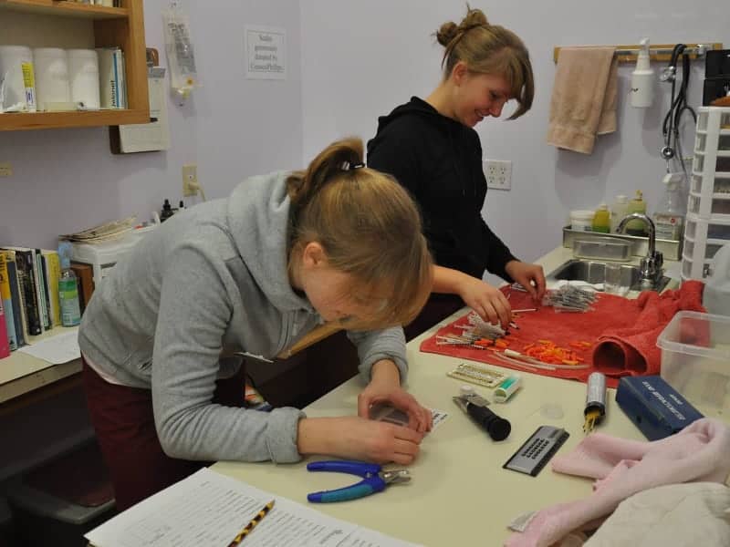 Young women volunteering at wildlife centre