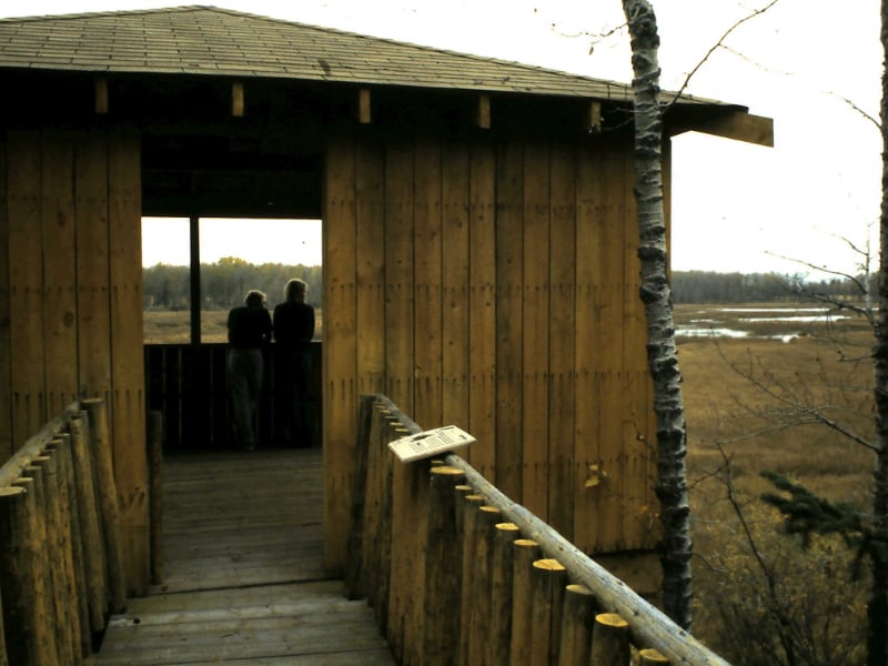 Observation tower overlooking wetland