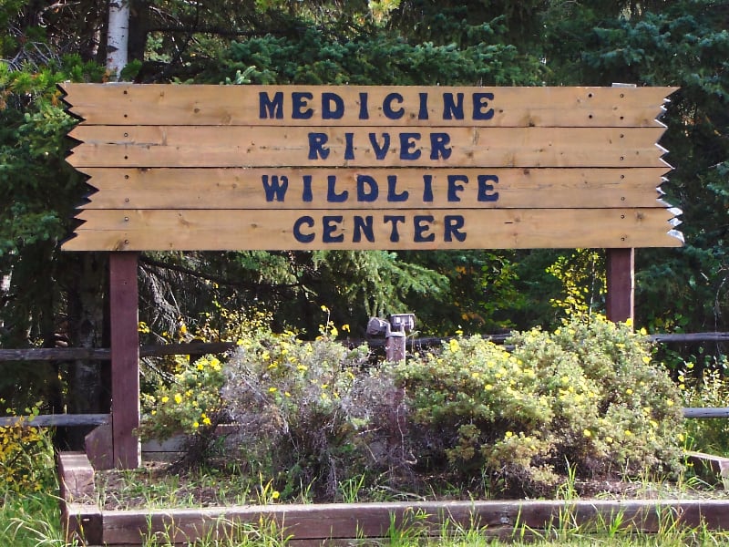 Old wildlife centre sign