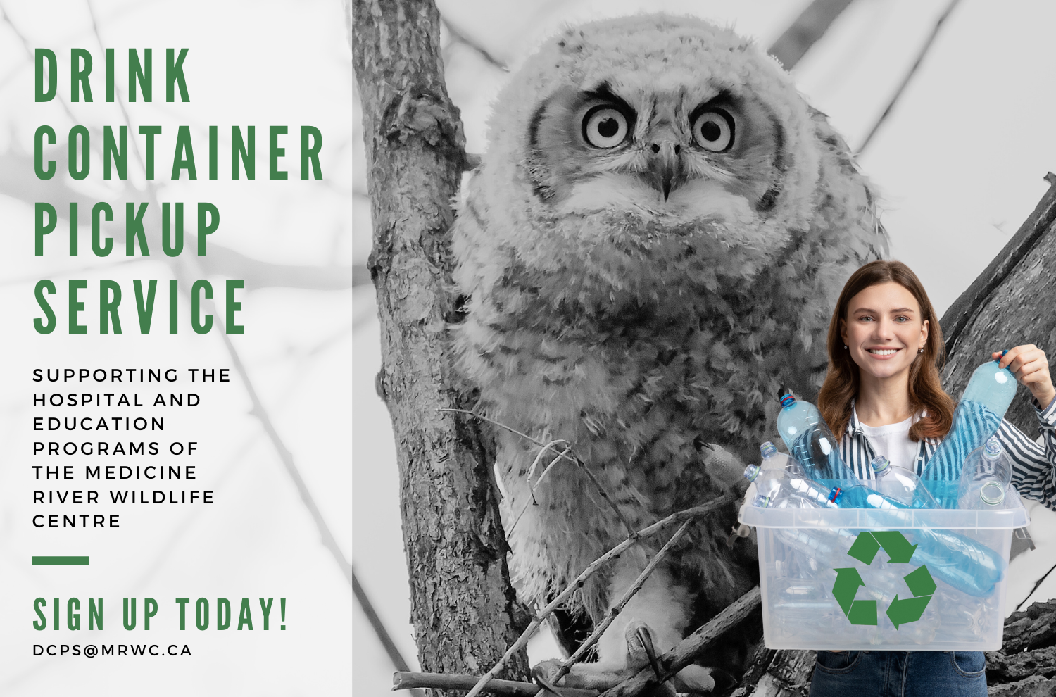 Man recycling bottles with fox in background