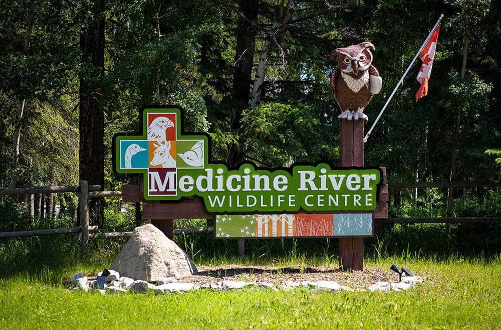 Medicine River Wildlife Centre entrance sign