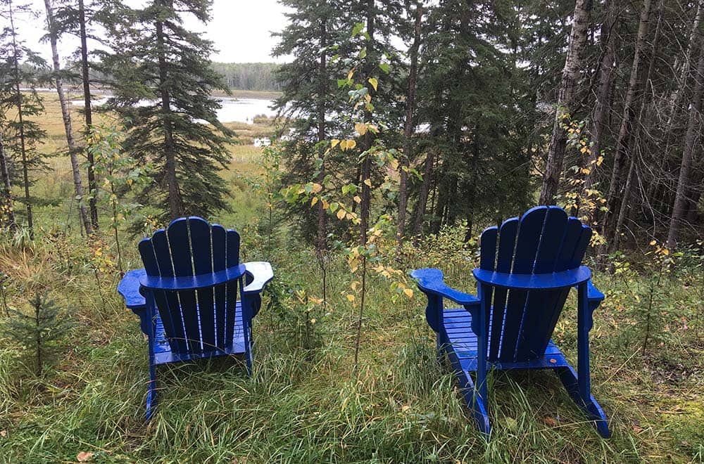 blue adirondack chairs with wetland view