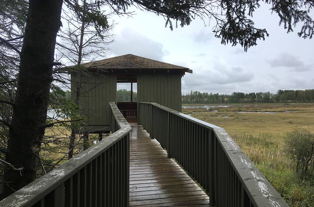Wetlands and viewing shelter
