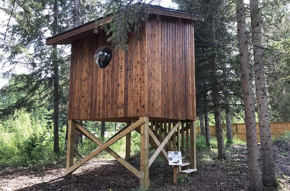 Bird house playground structure